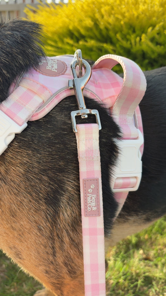 Leash: Pink Plaid