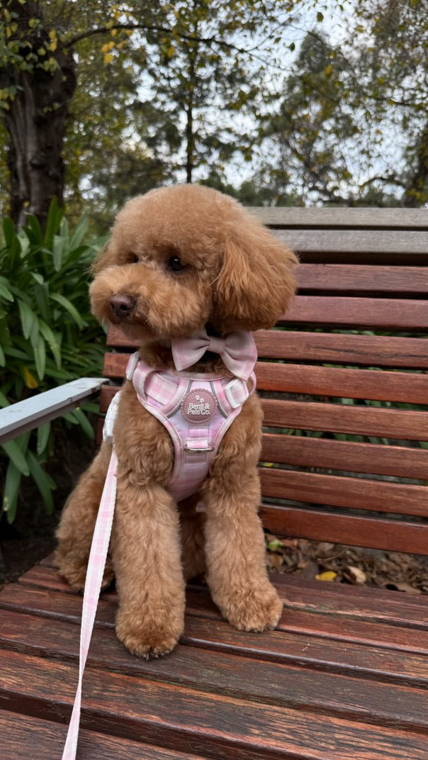 Bow: Pink Plaid