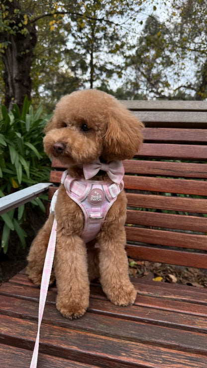 Adventure Harness Bundle: Pink Plaid