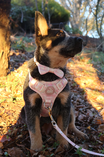 Adventure Harness: Pink Plaid
