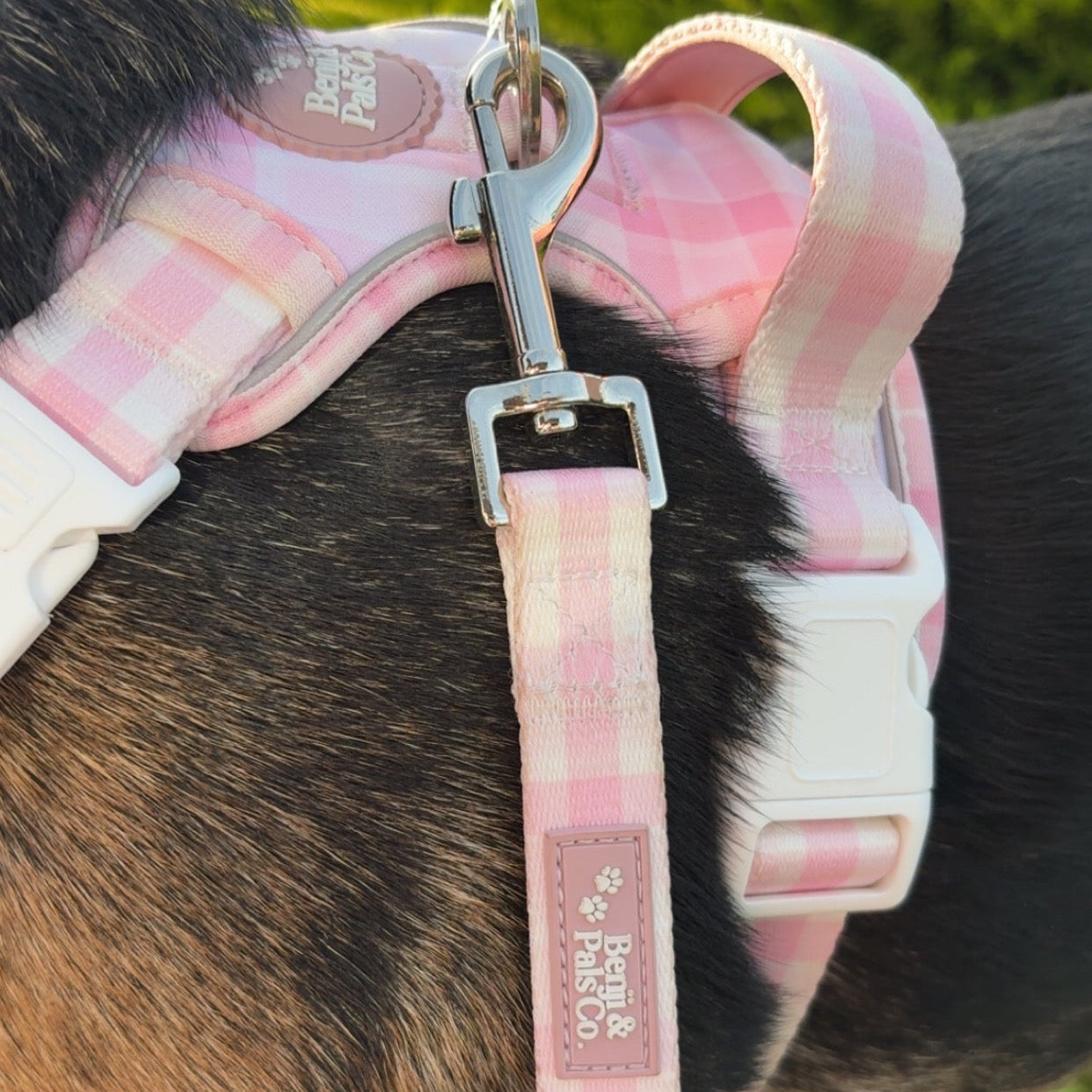 Adventure Harness: Pink Plaid